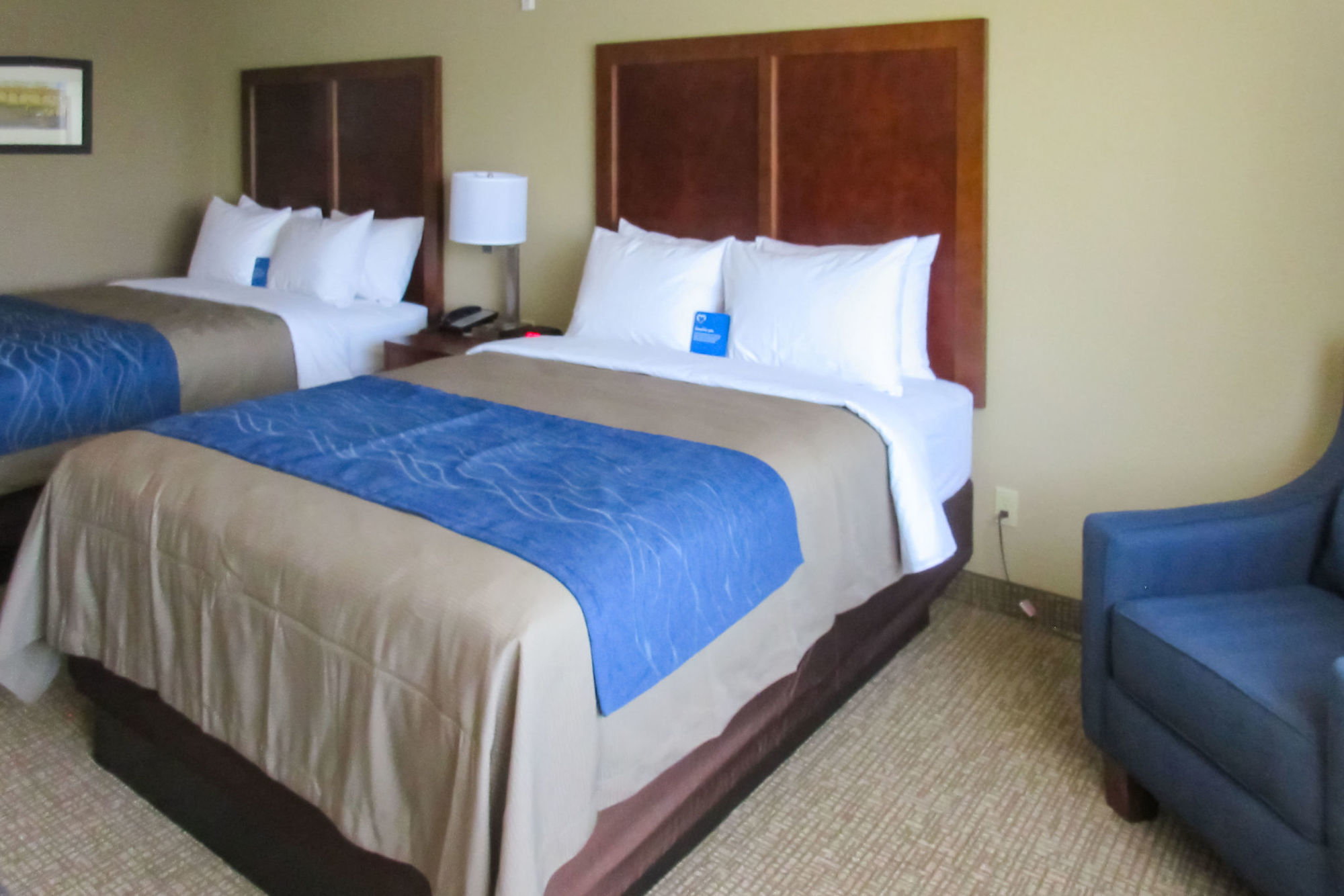 Comfort Inn & Suites Rocklin - Roseville Bilik gambar