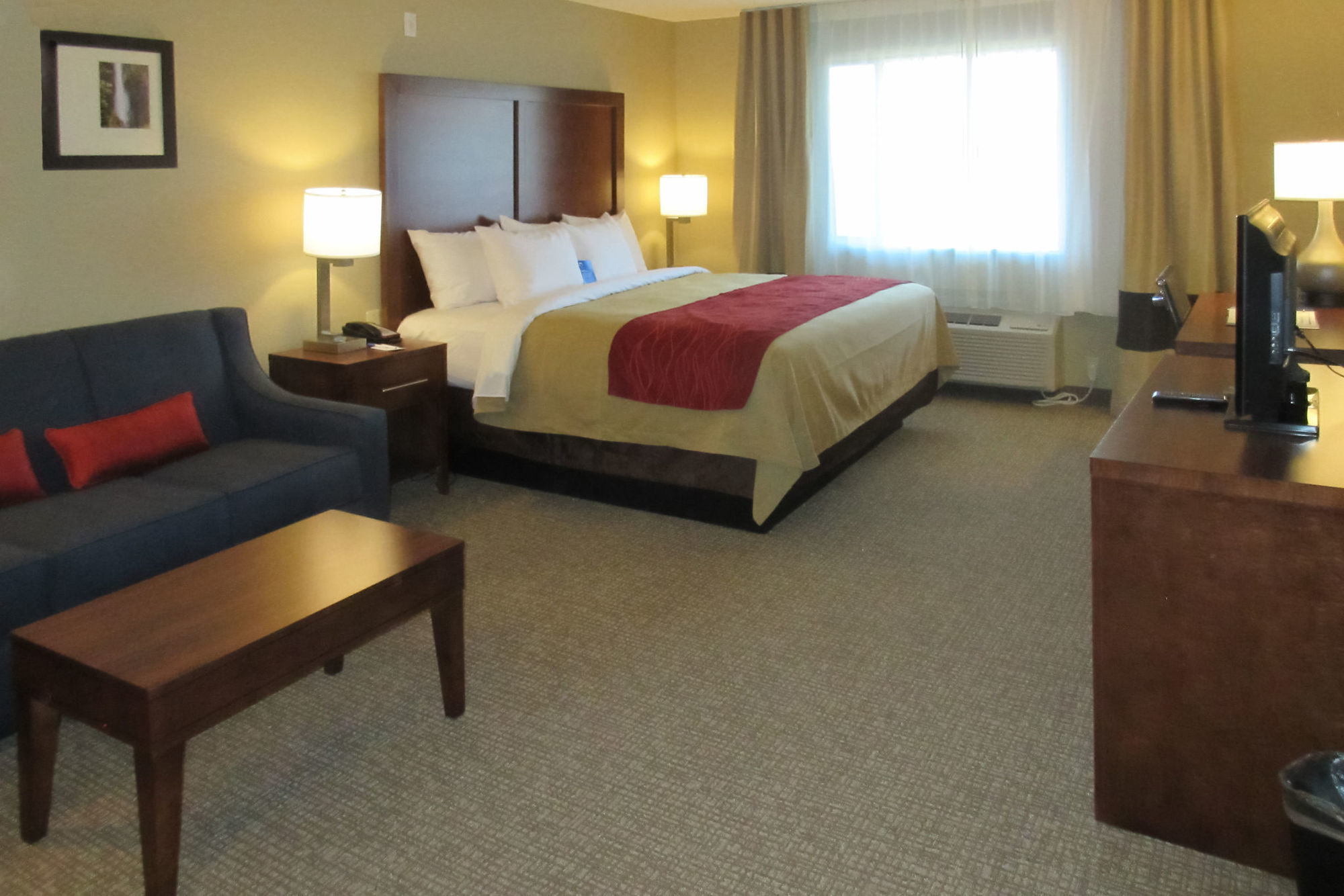 Comfort Inn & Suites Rocklin - Roseville Bilik gambar